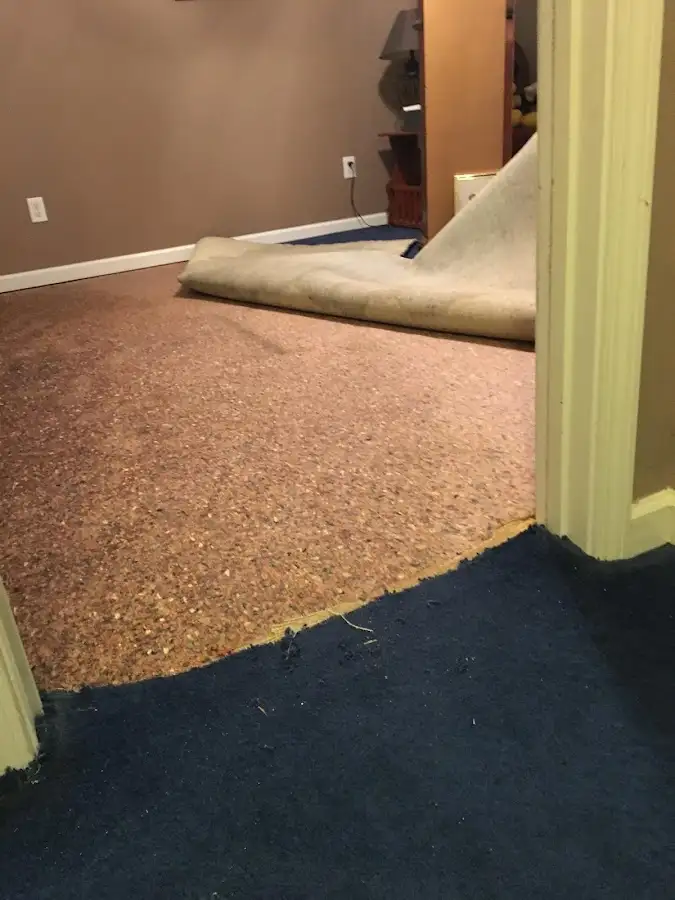 Carpet pad removal revealing water damage during Water Mitigation Services in River Falls