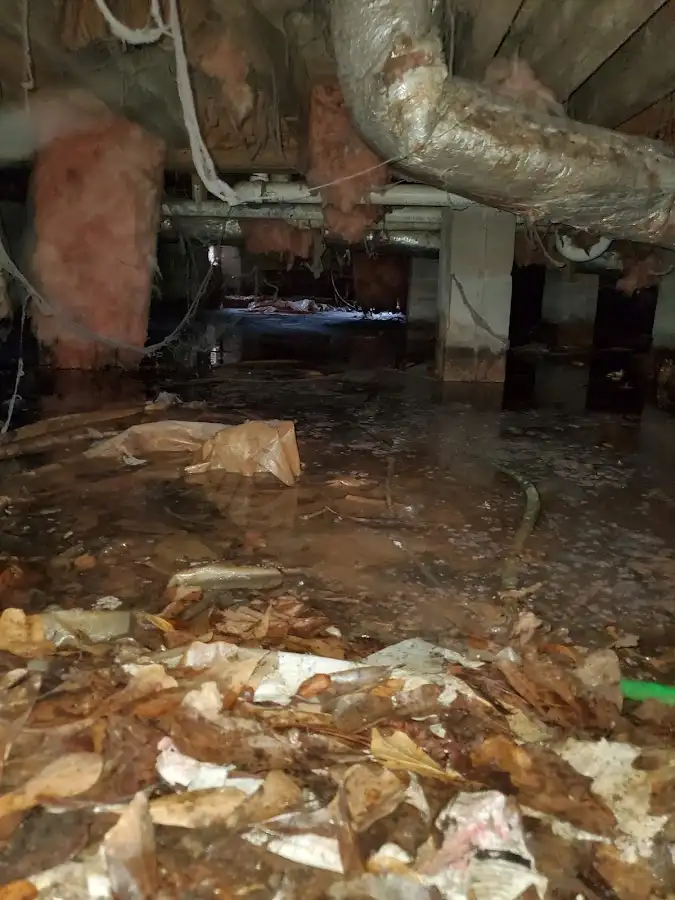Crawl space flood assessment for Leak Detection & Repair in River Falls